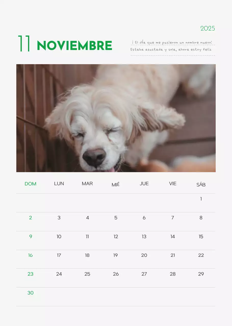 Calendario Abstracto Simple Animal