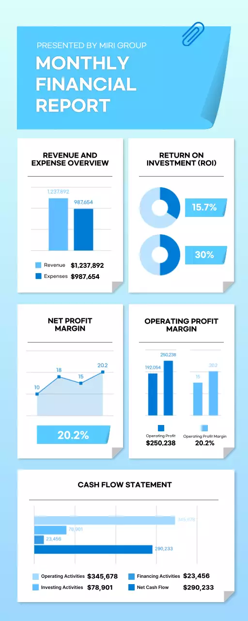 Blue Professional Financial Report Document Infographic
