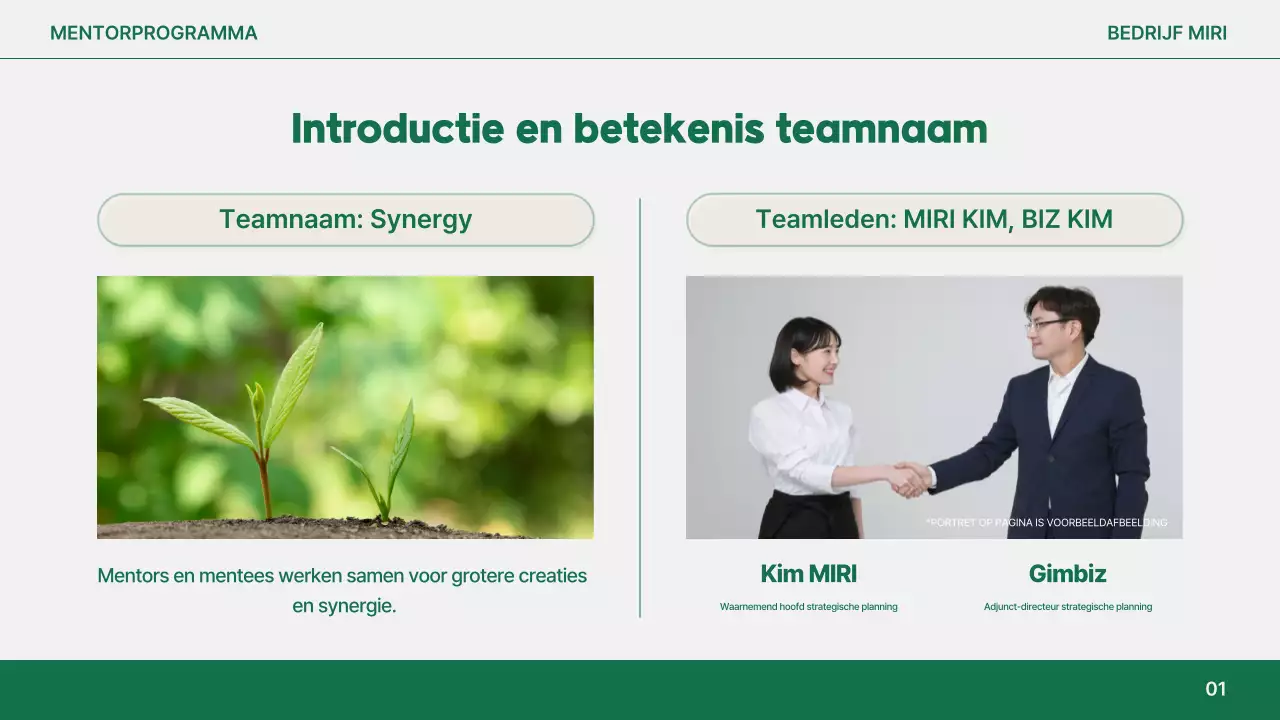 Oranje Modern Mentorschap Rapport