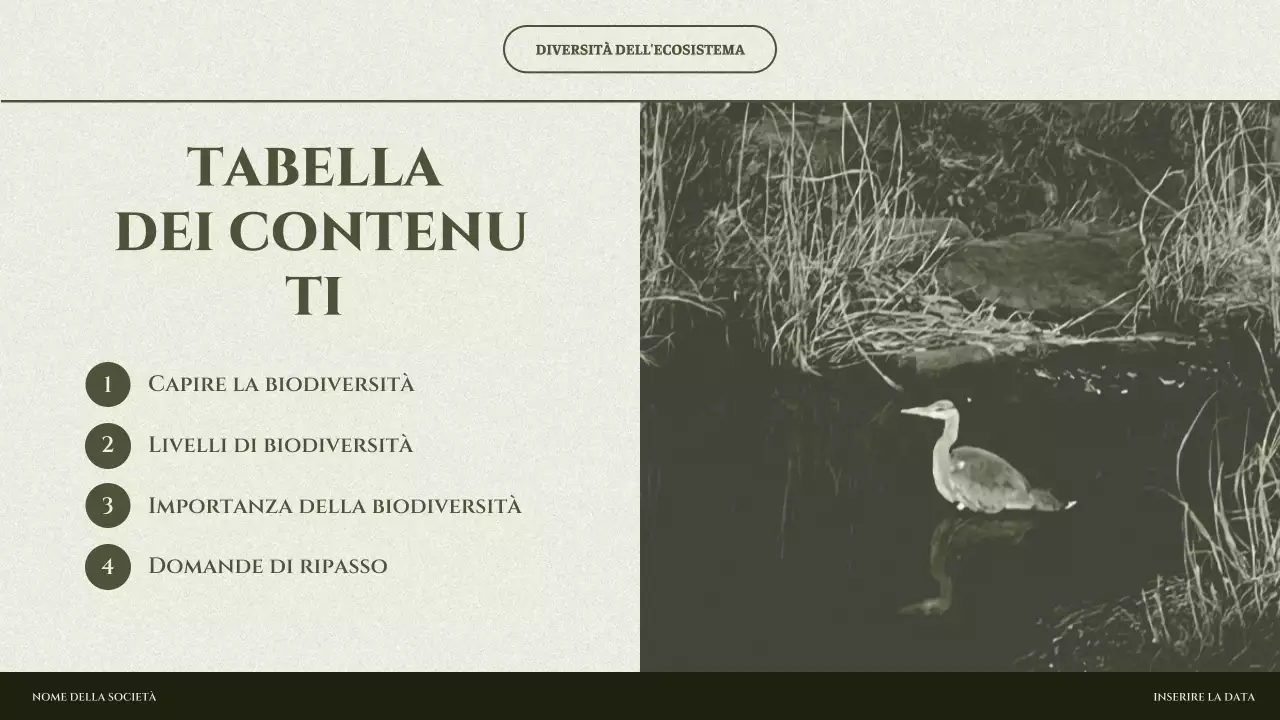 presentazione dell'ecosistema minimo di sage