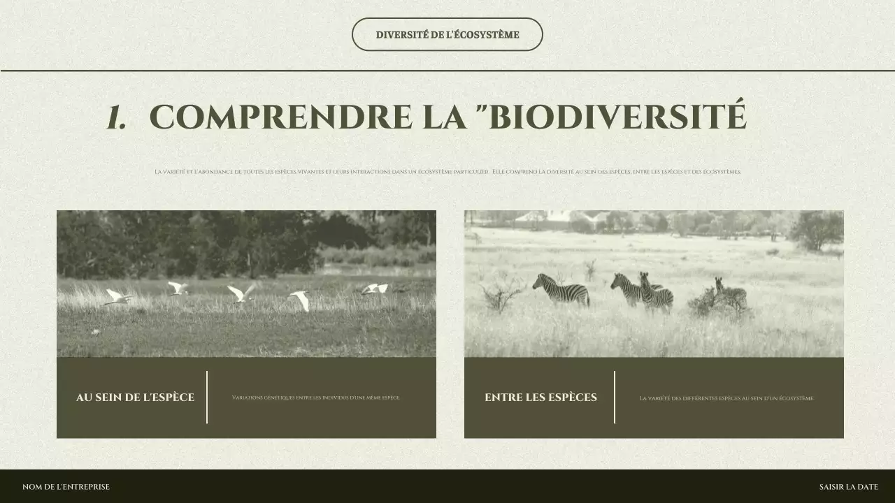 Présentation de l'écosystème minimal de Sage