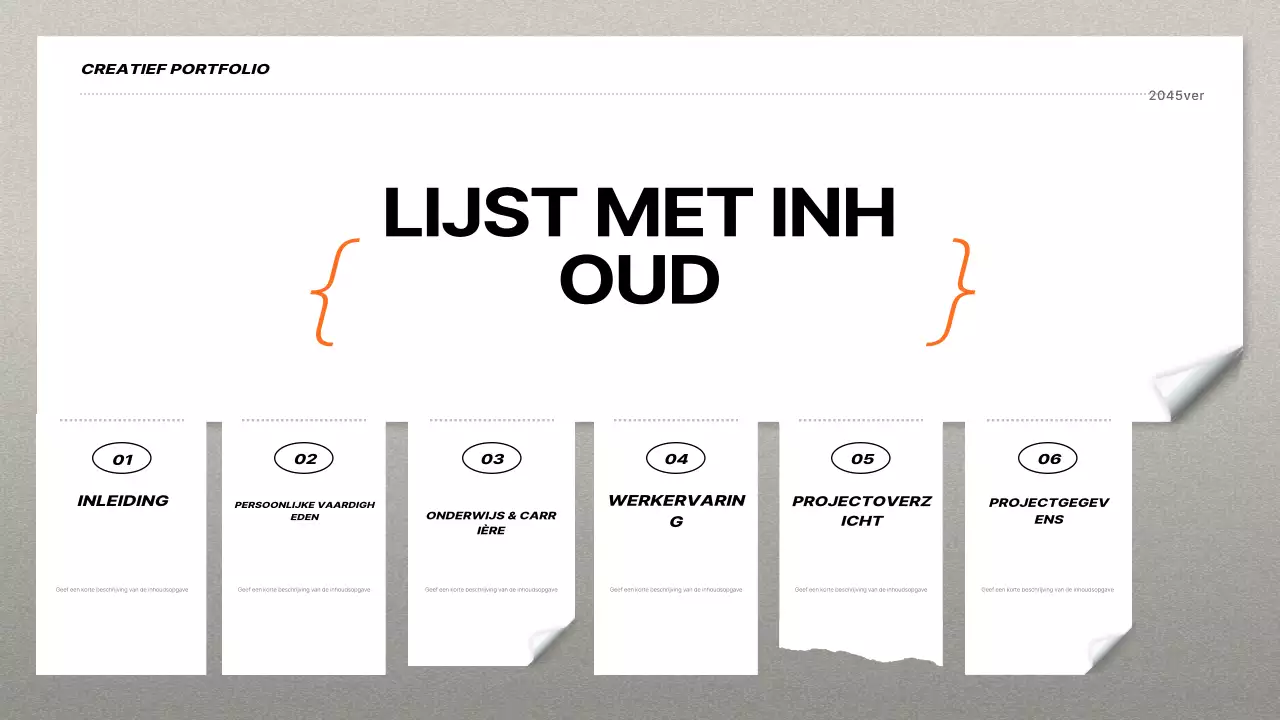 oranje modern portfolio cv