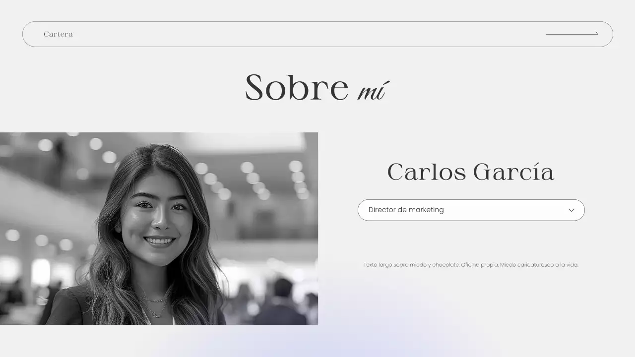 presentación de la cartera grey modern