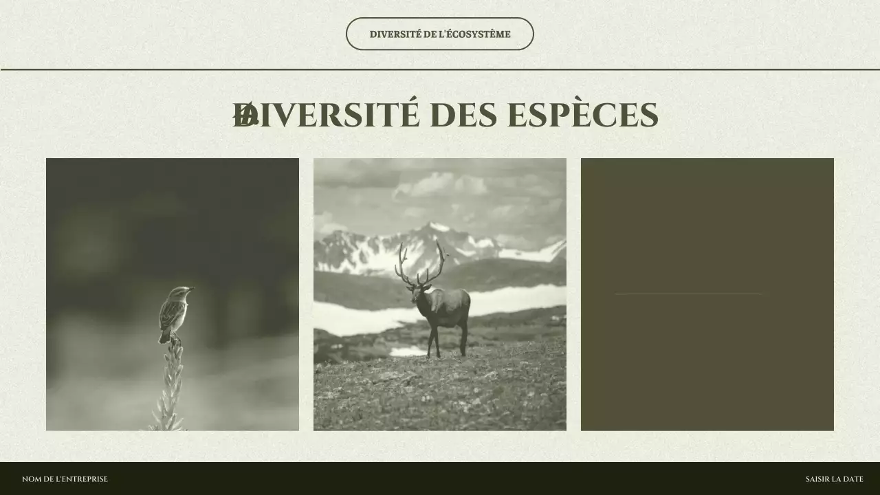 Présentation de l'écosystème minimal de Sage