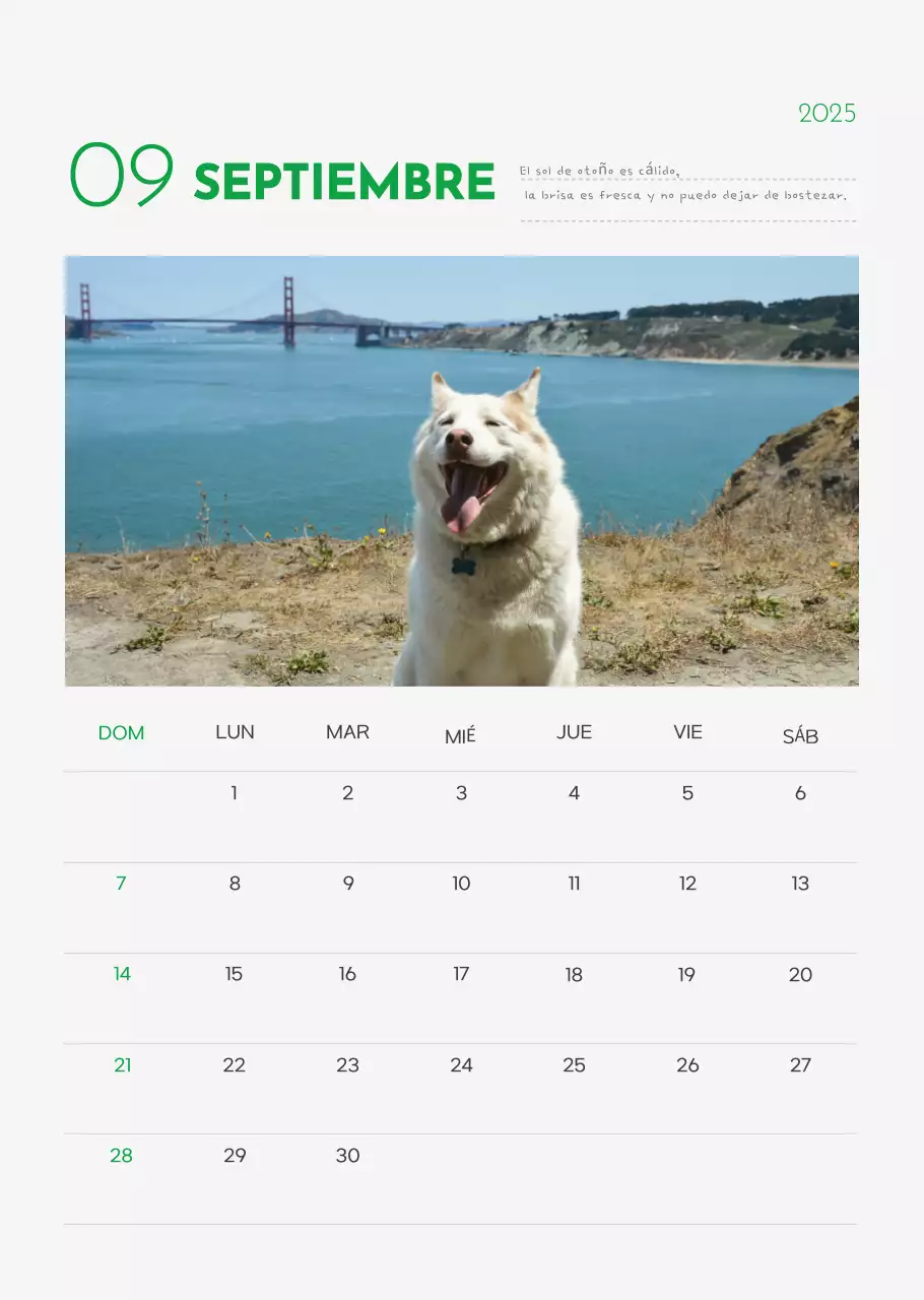 Calendario Abstracto Simple Animal