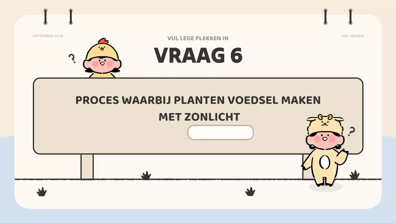 roze animatie quiz materiaal