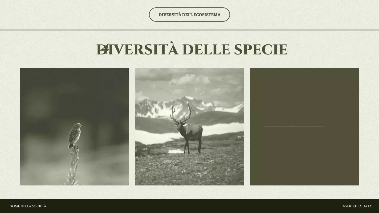 presentazione dell'ecosistema minimo di sage