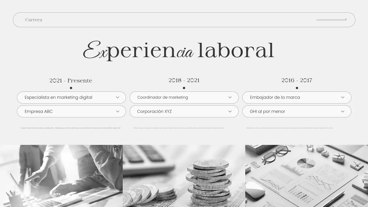 presentación de la cartera grey modern