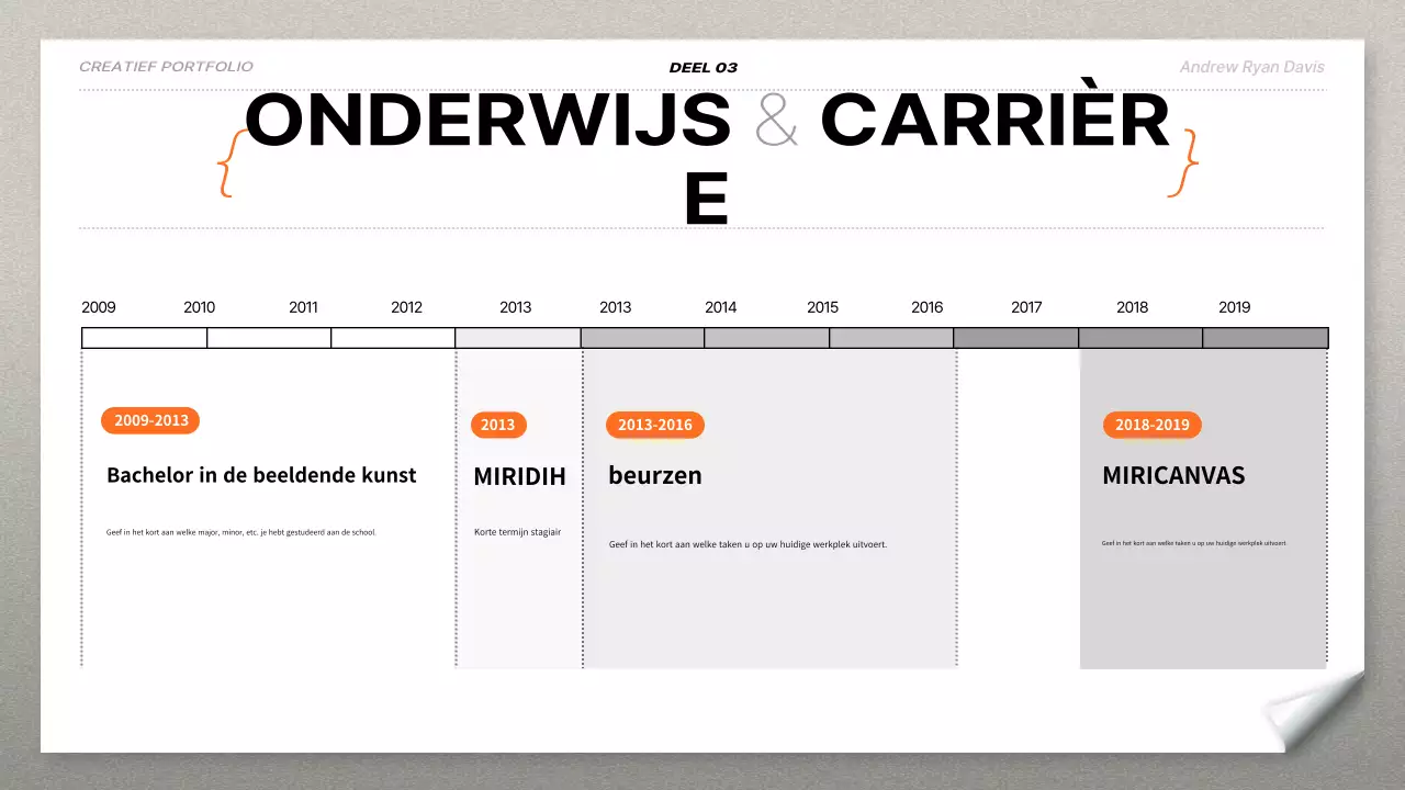 oranje modern portfolio cv