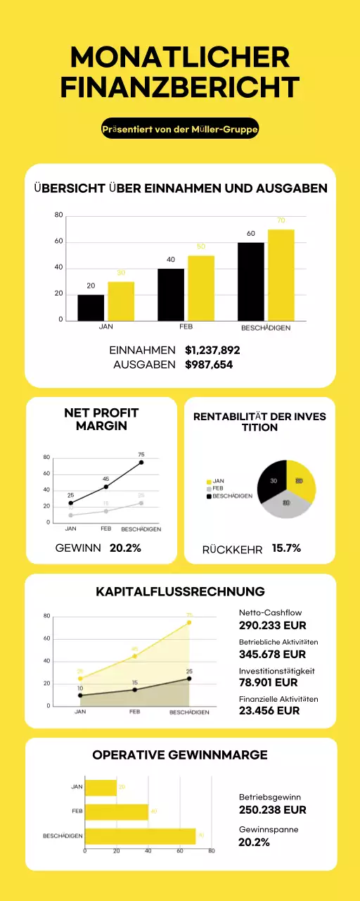 Moderne minimalistische Infografik zum monatlichen Finanzbericht