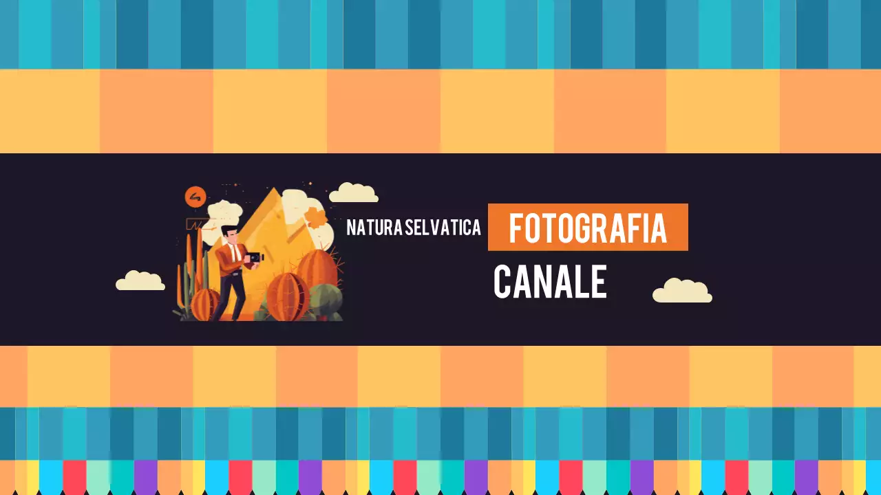 arancione retro fotografia canale youtube arte