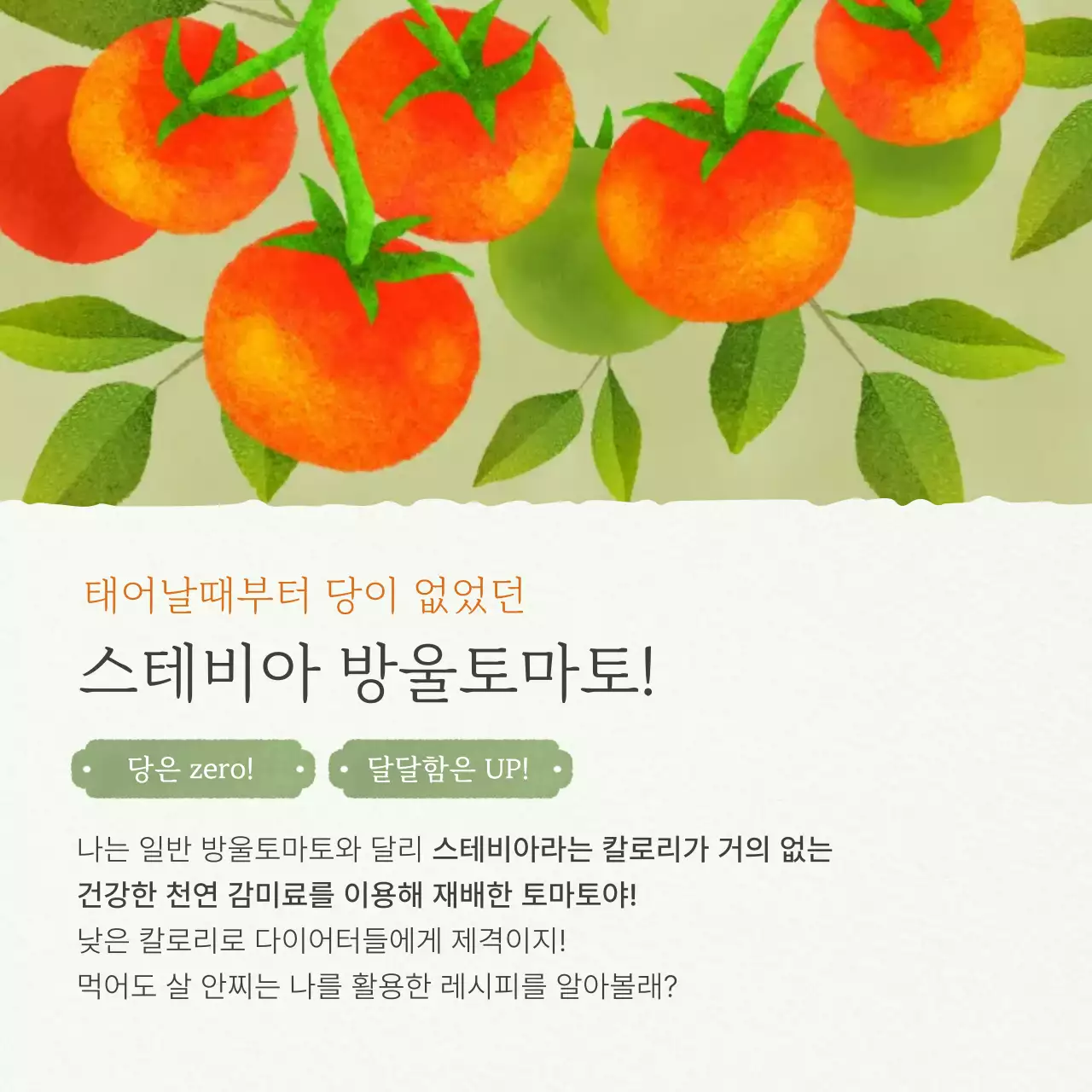 연두의 깔끔한 토마토 레시피 정보