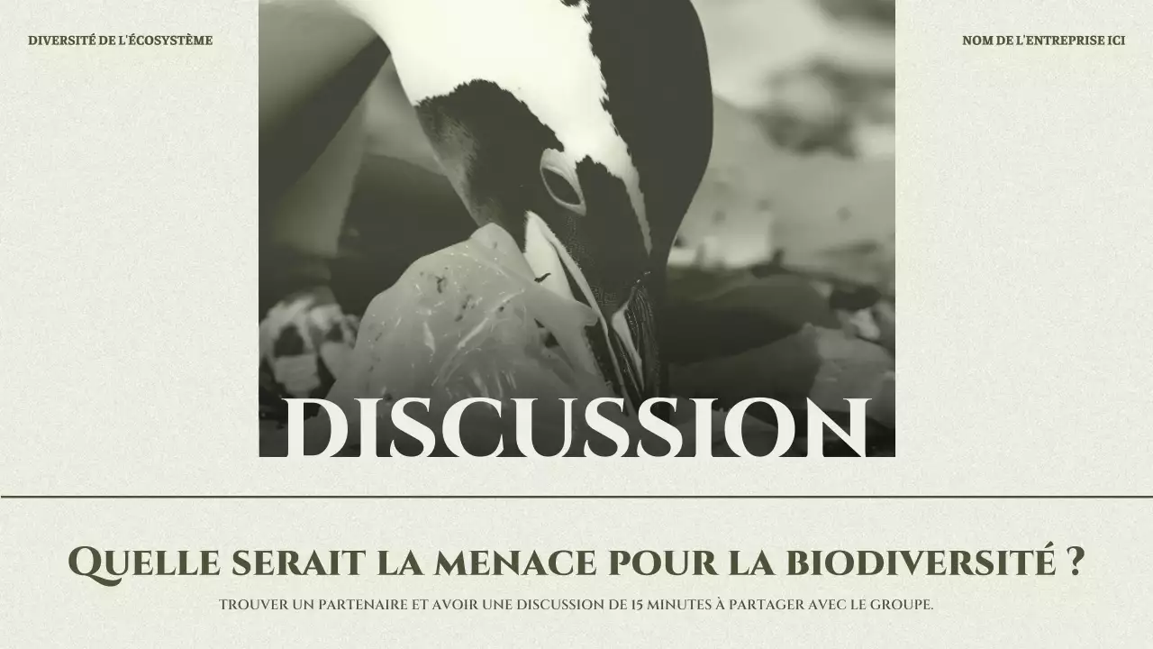 Présentation de l'écosystème minimal de Sage