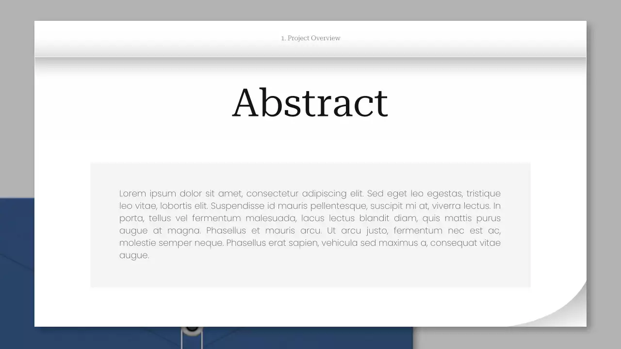 Grey Professional Project Report Presentation