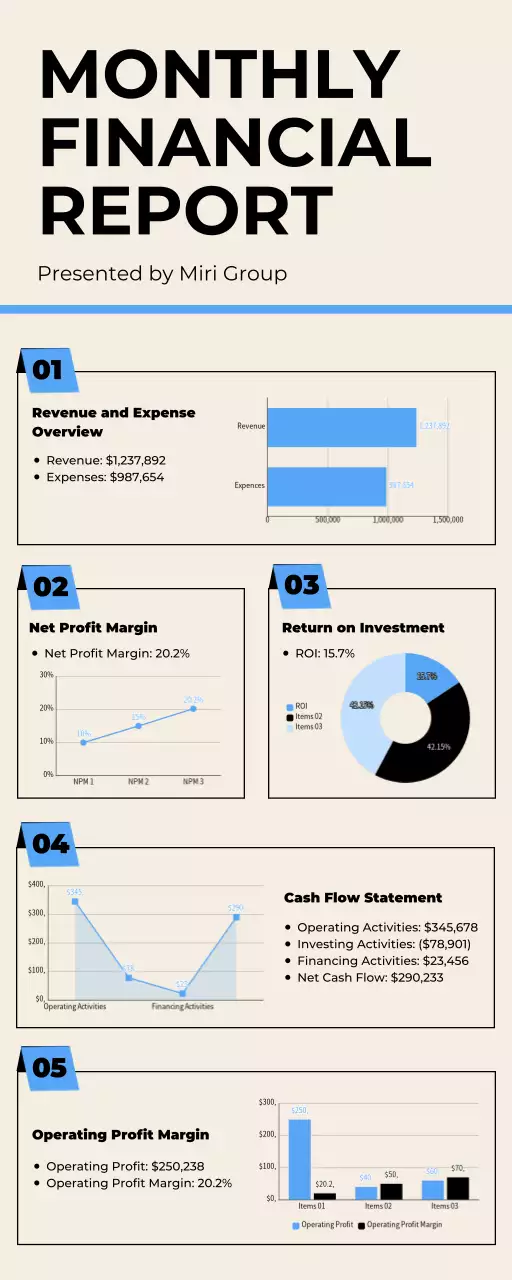 Beige Professional Financial Report Document Infographic