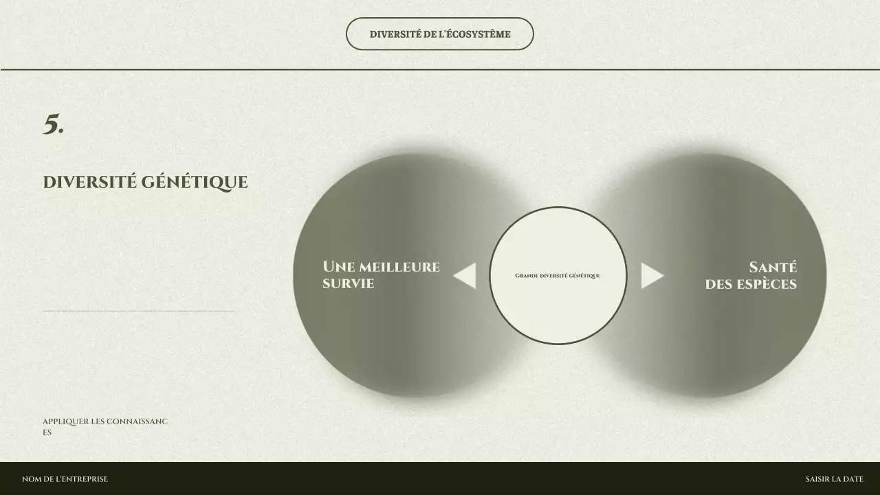 Présentation de l'écosystème minimal de Sage