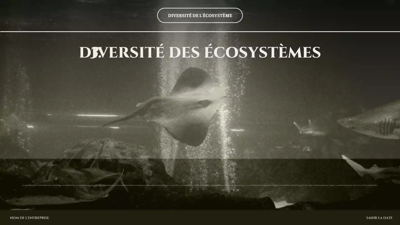 Présentation de l'écosystème minimal de Sage