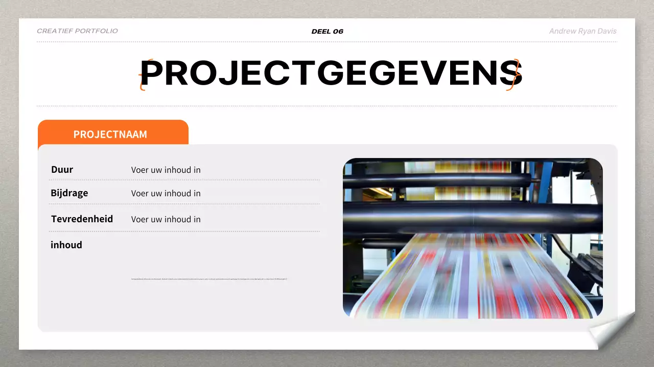 oranje modern portfolio cv