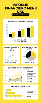 Infografía moderna y minimalista de un informe financiero mensual