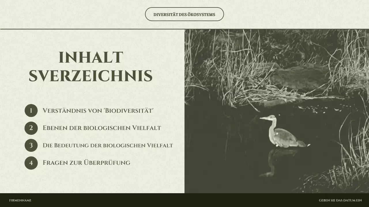 Salbei-Minimalökosystem-Präsentation