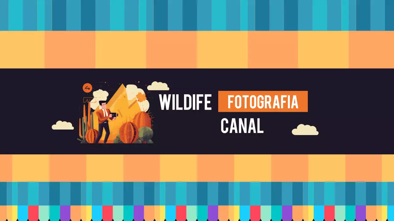 laranja fotografia retro canal do youtube arte