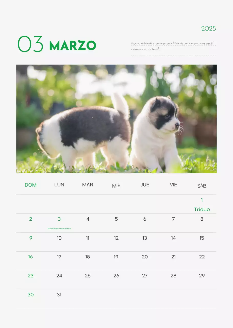 Calendario Abstracto Simple Animal