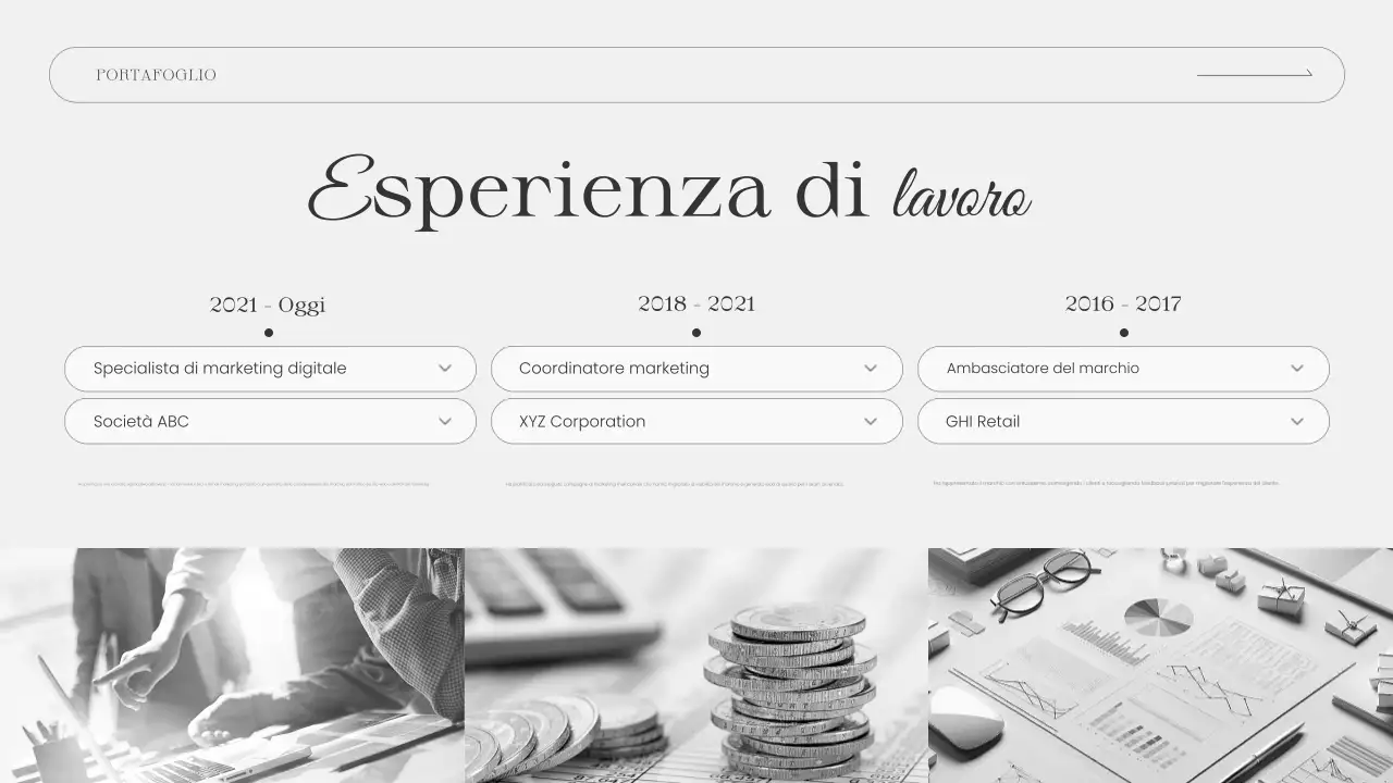 presentazione del portafoglio grigio moderno