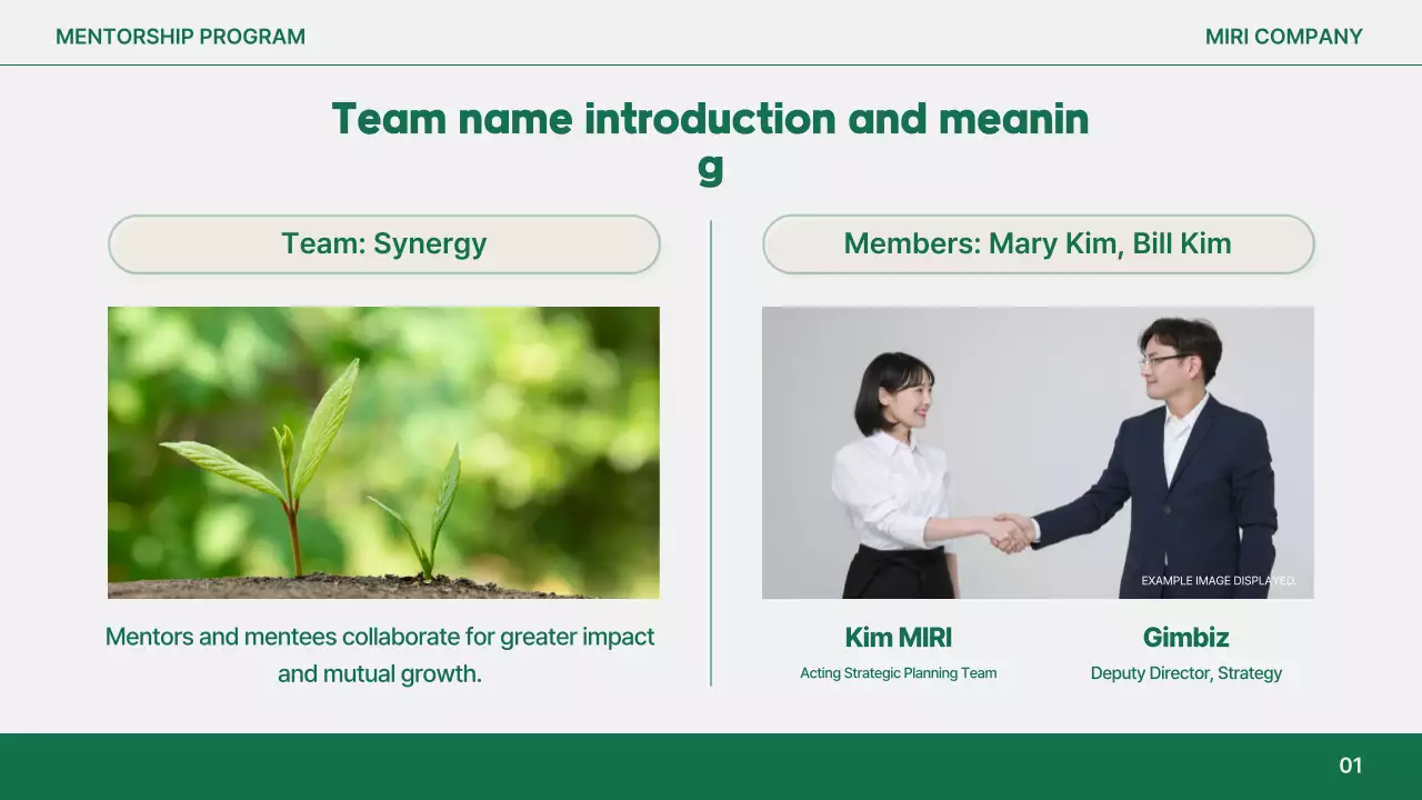 Orange Simple Mentorship Guideline Presentation