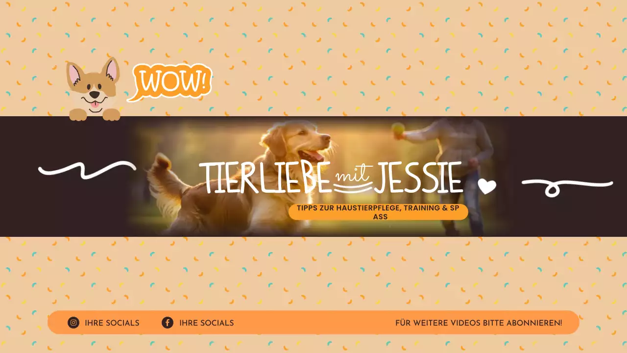 orange verspielte Haustier-Tipps Kanal