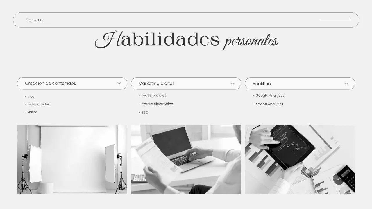 presentación de la cartera grey modern