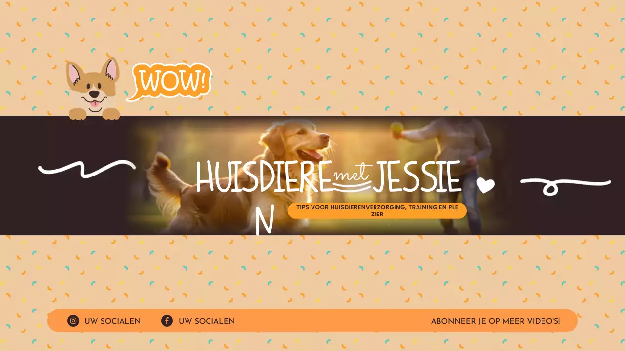 kanaal met speeltips voor oranje huisdieren