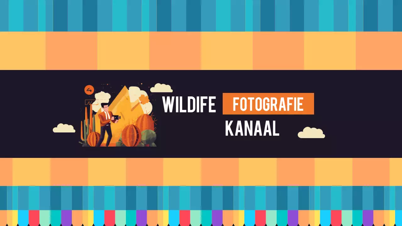oranje retro fotografie youtube kanaal kunst