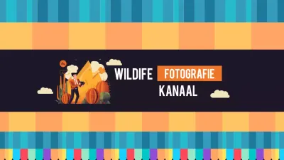 oranje retro fotografie youtube kanaal kunst