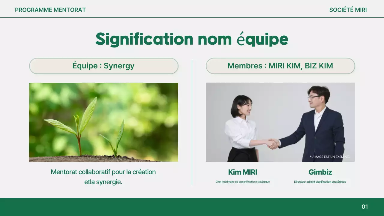Rapport sur le mentorat moderne d'Orange