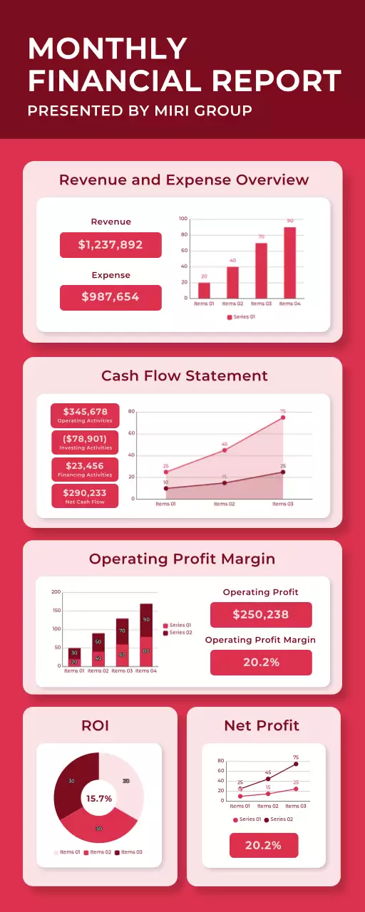Red Modern Financial Report Document Infographic