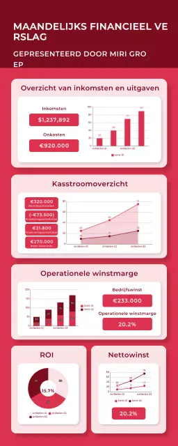 Infografiek Groen Modern Financieel Rapport