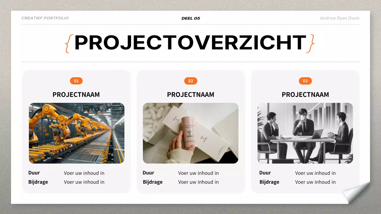 oranje modern portfolio cv