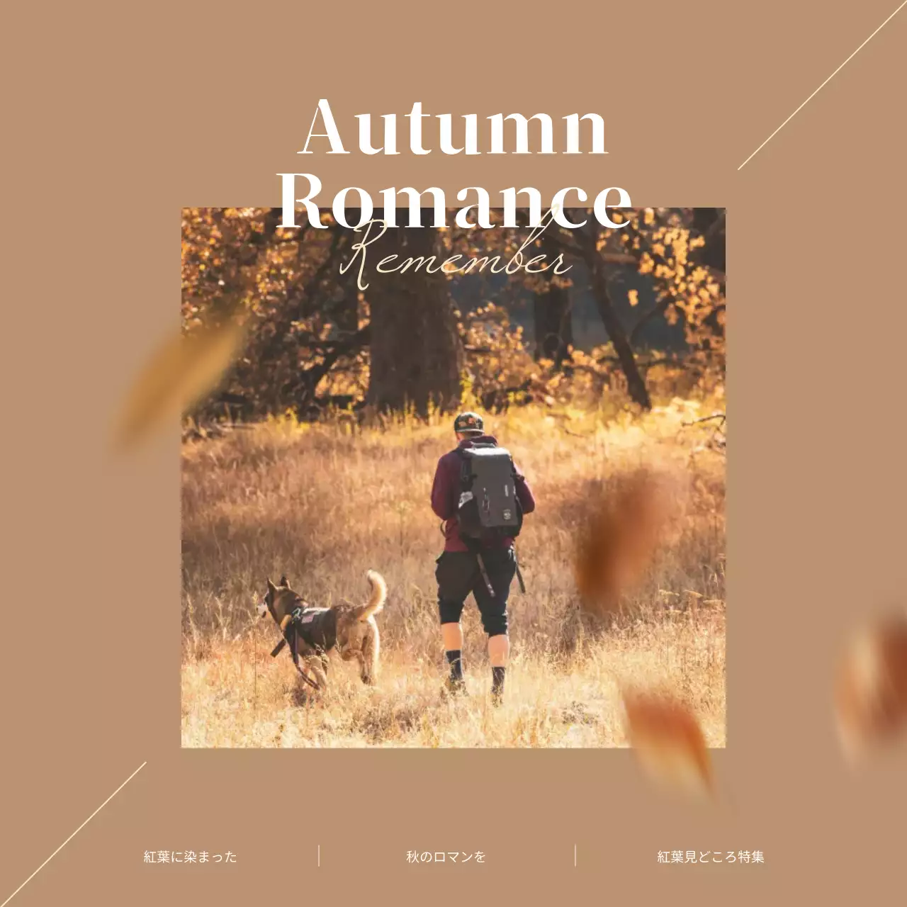 茶色 シンプル 自然 ポスター