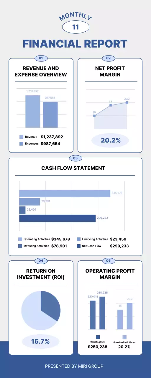 Blue Professional Financial Report Document Infographic