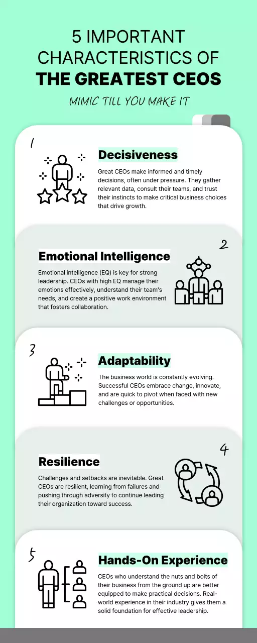 Mint Professional Ceo Guide Infographic