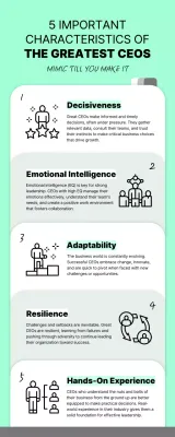 Mint Professional Ceo Guide Infographic