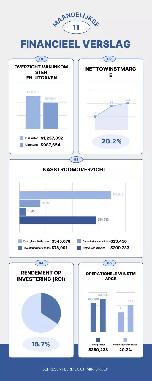 blauw modern financieel verslag document