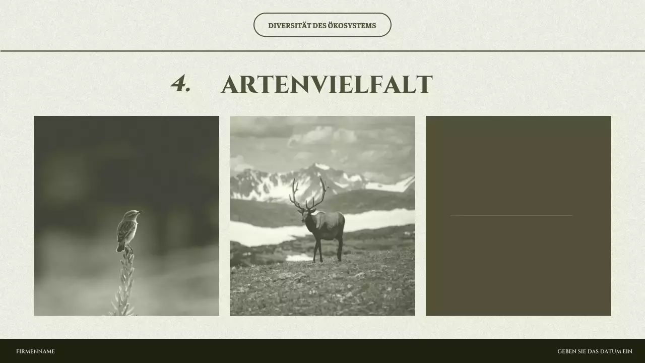 Salbei-Minimalökosystem-Präsentation