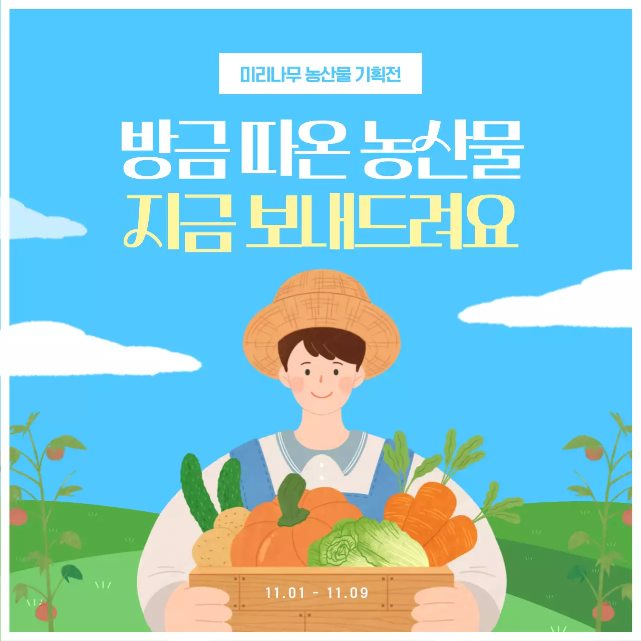 노랑과 하늘색의 깔끔한 농산물 기획전 홍보