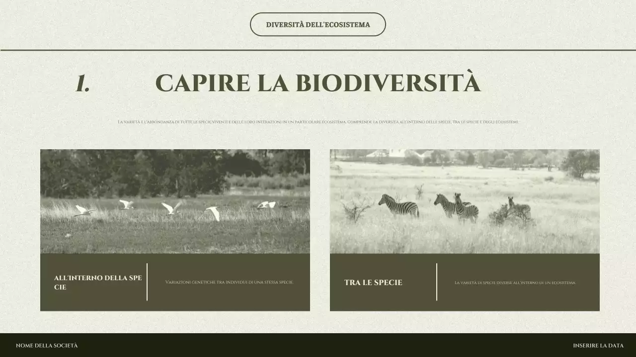 presentazione dell'ecosistema minimo di sage