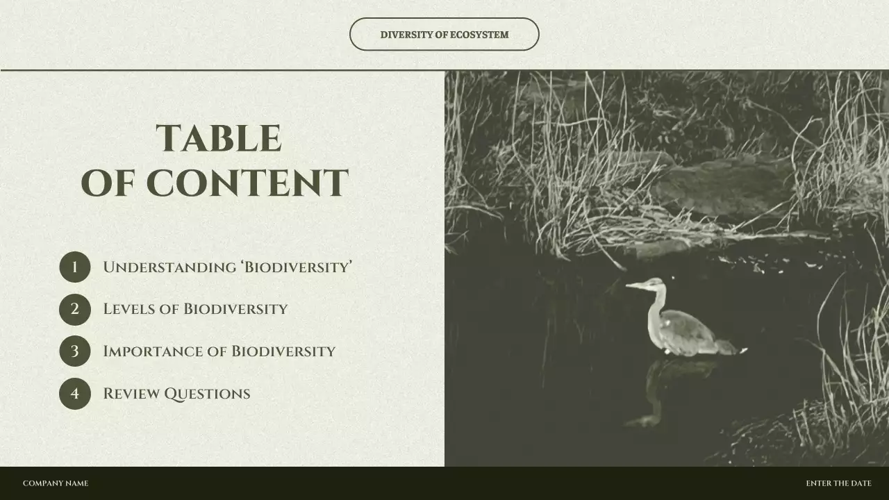 Green Minimal Biodiversity Presentation