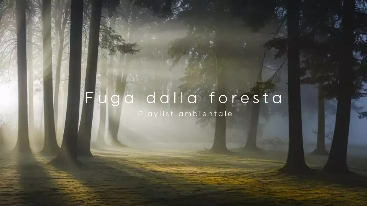 playlist di musica verde naturale