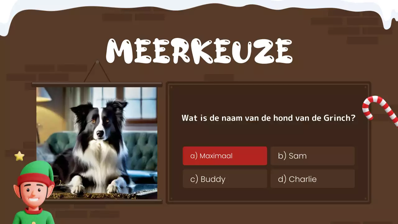 rode feestelijke vakantie quiz gids