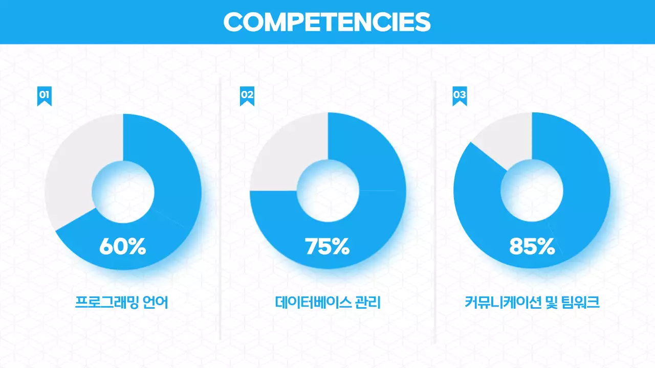 파랑 모던 포트폴리오 소개