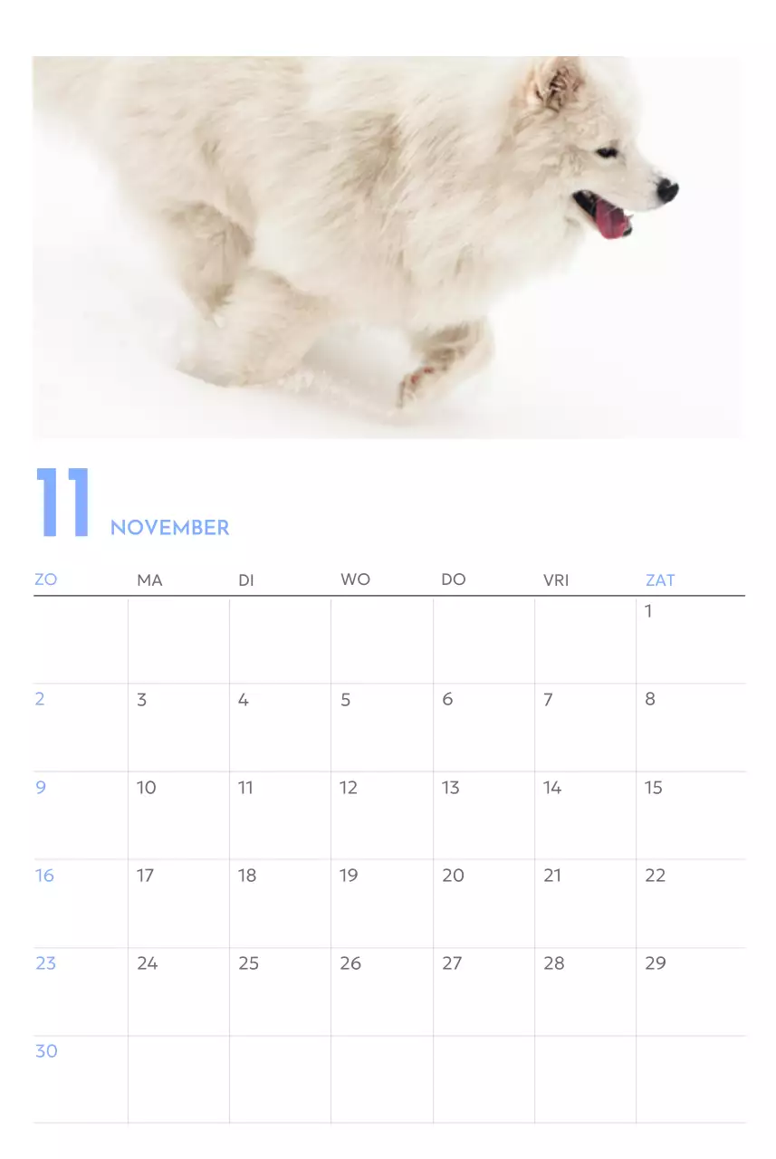 Photo goal tracker kalender met een vleugje blauw